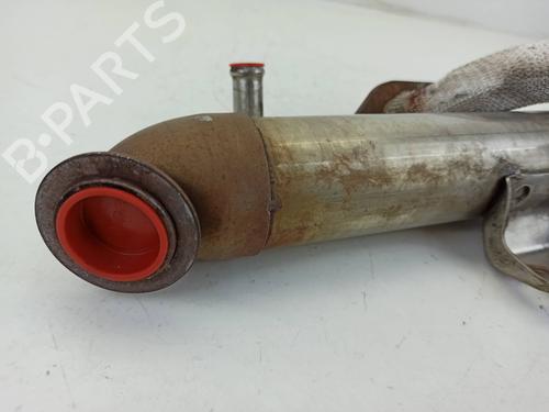 Egr FORD FOCUS I (DAW, DBW) 1.8 Turbo DI / TDDi | BP14157770M69 