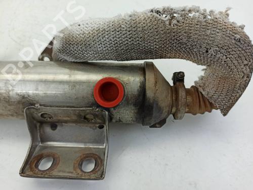 Egr FORD FOCUS I (DAW, DBW) 1.8 Turbo DI / TDDi | BP14157770M69 