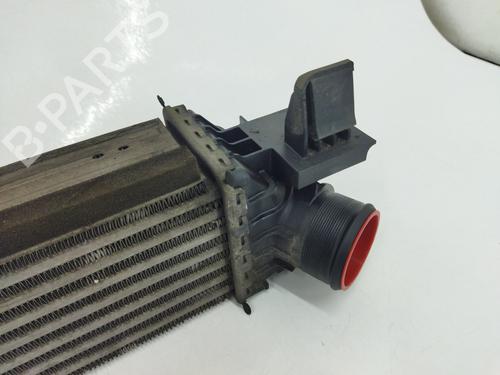 Intercooler FIAT DUCATO Van (250_) 150 Multijet 2,3 D | BP11357431M30 