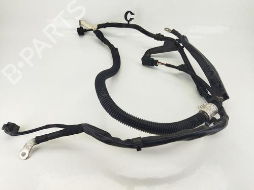 Cable AUDI A4 B9 Avant (8W5, 8WD) 2.0 TDI | BP14159456E12 