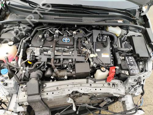 Front right panel TOYOTA COROLLA Hatchback (_E21_, _EA1_, _EH1_) | BP31810000C59