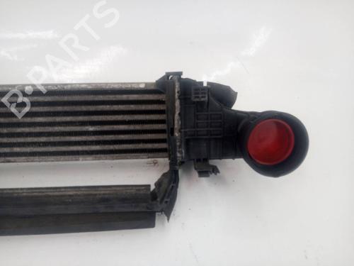 Intercooler MERCEDES-BENZ E-CLASS (W211)  | BP9645717M30 
