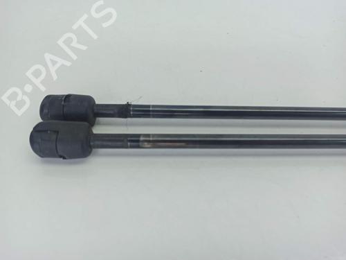 Tailgate lift support BMW X1 (E84) sDrive 18 d | BP14159490C138 