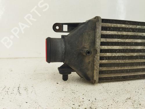 Intercooler FIAT BRAVO II (198_)  | BP9397159M30 