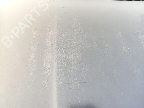 Hood PEUGEOT 508 I (8D_) 2.0 HDi | BP29998924C1 