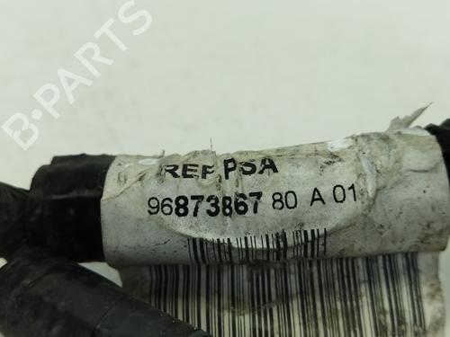 Cable PEUGEOT 508 I (8D_)  | BP14158874E12
