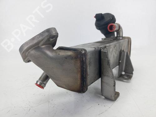 Egr RENAULT KOLEOS I (HY_)  | BP14159022M69 