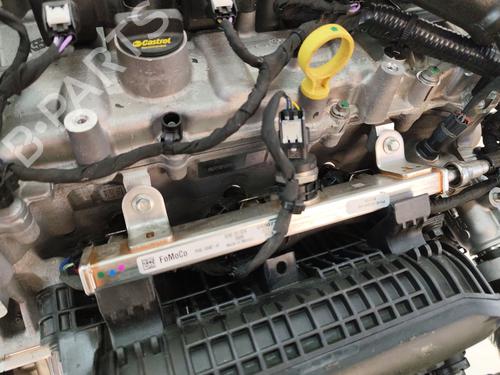 Engine FORD KUGA III (DFK)  | BP29501532M1 