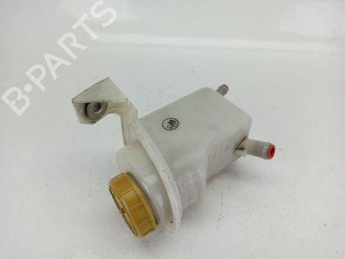 Used Expansion tank OPEL COMBO Box Body/MPV (X12) 1.3 CDTI (B05) (90 hp) 25875509