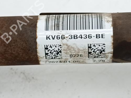 Right front driveshaft FORD TRANSIT CONNECT V408 Box Body/MPV 1.5 EcoBlue | BP39531280M39 - Image 5