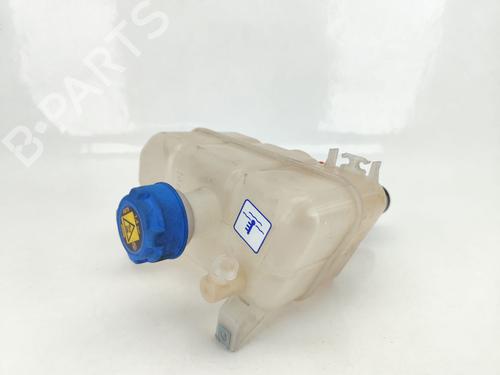 Used Expansion tank FIAT DUCATO Van (250_) 140 Multijet 2,2 D (140 hp) 28125692