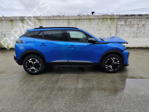 Rear left panel PEUGEOT 2008 II (UD_, US_, UY_, UJ_, UR_, UC_) 1.2 PureTech 100 (USHNK) | BP31995931C60 