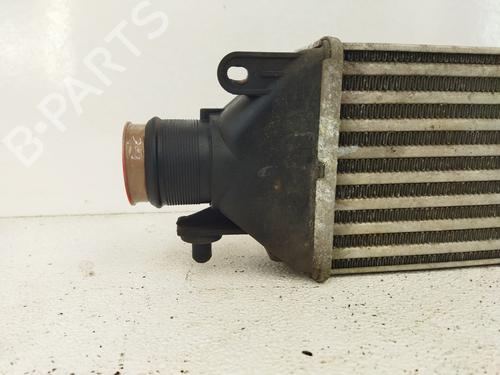 Intercooler FIAT BRAVO II (198_)  | BP9397159M30 