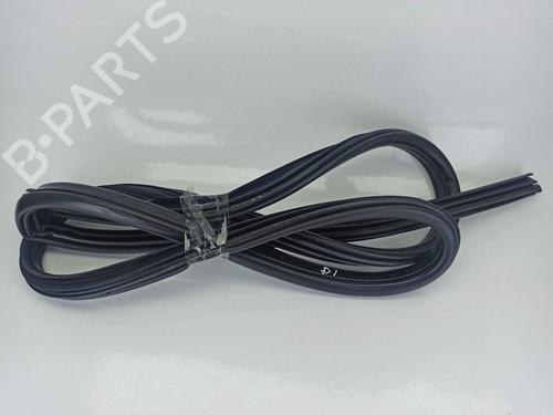 Rubber door seal BMW X1 (E84) sDrive 18 d | BP14159499C142 
