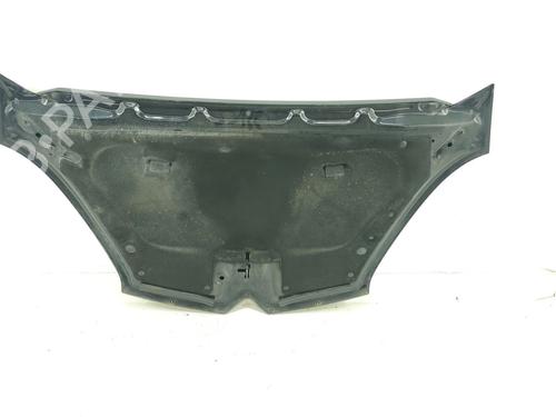 Hood CITROËN C4 Picasso I MPV (UD_) 1.6 HDi | BP31088583C1