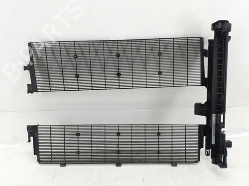 Grill BMW Z4 Roadster (G29) sDrive 20 i (197 hp) 28022020