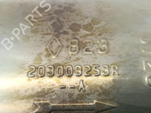 Particulate filter RENAULT ARKANA I (LCM_, LDN_) 1.6 E-TECH 145 (LDMU) | BP31190105M81 