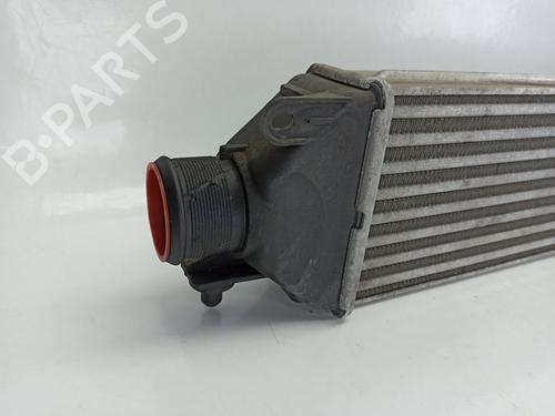 Intercooler OPEL COMBO Box Body/MPV (X12) 1.3 CDTI (B05) | BP25875510M30 