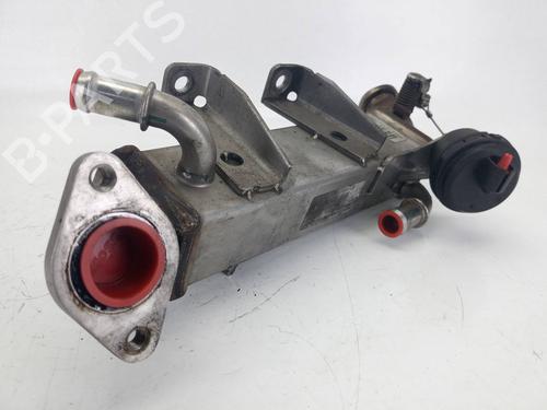 Egr RENAULT KOLEOS I (HY_)  | BP14159022M69 