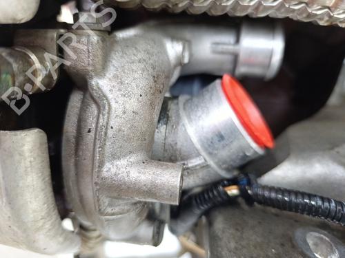 Engine LAND ROVER RANGE ROVER SPORT I (L320) 3.6 D 4x4 | BP31680118M1 