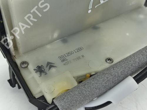 Rear left lock PEUGEOT 2008 I (CU_) 1.6 BlueHDi 100 | BP13345075C100