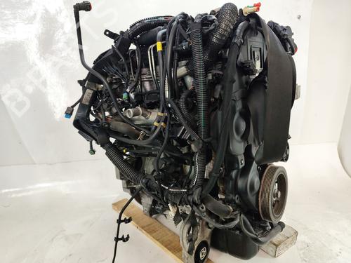 Engine CITROËN BERLINGO / BERLINGO FIRST MPV (MF_, GJK_, GFK_) 1.6 HDI 90 (MF9HX) | BP25879261M1 