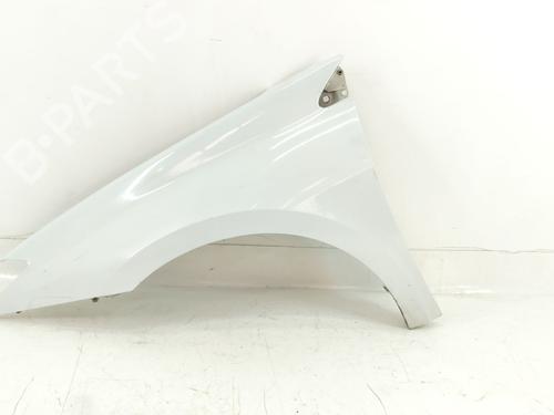 left-front-fenders-renault-laguna-iii-bt01-2007-2008-2009-2010-2011-2012-2013-2014-2015-30456836 main image