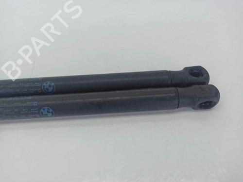 Tailgate lift support BMW X1 (E84) sDrive 18 d | BP14159490C138 