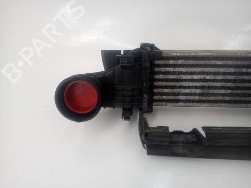 Intercooler MERCEDES-BENZ E-CLASS (W211)  | BP9645717M30 