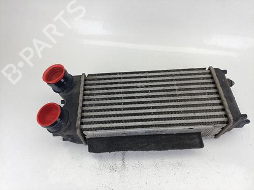 Intercooler FORD FIESTA VI (CB1, CCN) 1.5 TDCi | BP25876568M30 