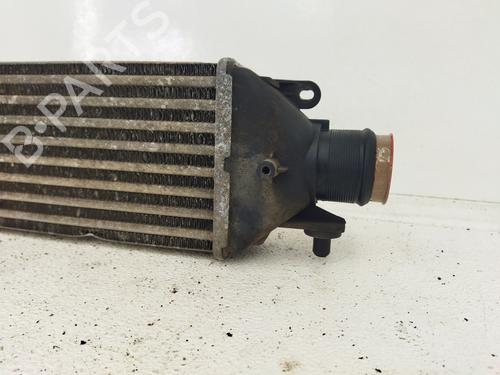 Intercooler FIAT BRAVO II (198_)  | BP9397159M30 