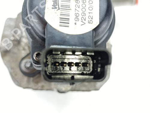 Egr SANTANA 300/350 1.6 HDi 4x4 | BP31352994M69 