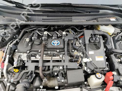 Front right panel TOYOTA COROLLA Hatchback (_E21_, _EA1_, _EH1_) | BP31810000C59