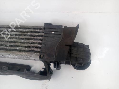 Intercooler MERCEDES-BENZ E-CLASS (W211)  | BP9645717M30 