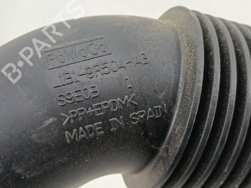 Support FORD PUMA (J2K, CF7) 1.0 EcoBoost | BP34628695C155 - Image 7