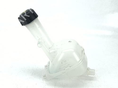 Used Expansion tank RENAULT ARKANA I (LCM_, LDN_) [2019-2026]  31310804