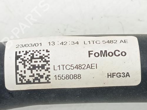 Anti roll bar FORD PUMA (J2K, CF7) 1.0 EcoBoost | BP39722523M96 - Image 2