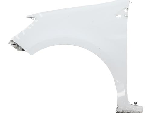 Forskærm venstre RENAULT CLIO III (BR0/1, CR0/1) 1.5 dCi (75 hp) 33033249