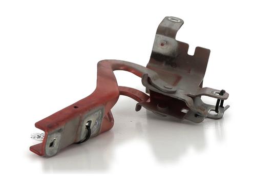 Hinge/Door check strap RENAULT CLIO IV (BH_) 1.5 dCi 75 | BP27911276C146 
