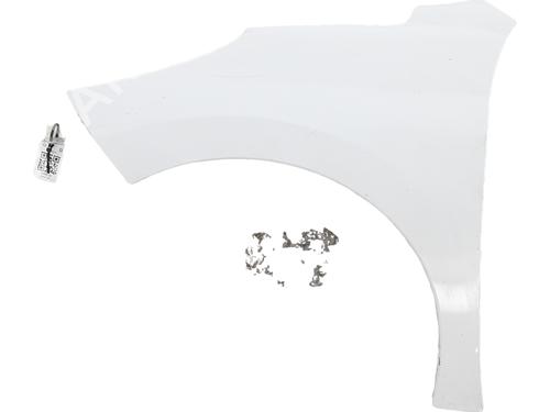 left-front-fenders-peugeot-207-wa_-wc_-2006-2007-2008-2009-2010-2011-2012-2013-2014-2015-31986012 main image