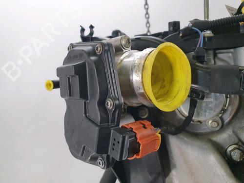 Engine FORD FIESTA VI (CB1, CCN) 1.0 EcoBoost | BP38768514M1 - Image 8