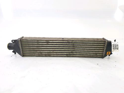 Used Intercooler LANCIA DELTA III (844_) 1.6 D Multijet (844.AXC11, 844.AXC1A) (120 hp) 27308762
