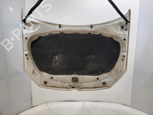 Hood VW POLO V (6R1, 6C1) 1.4 TDI | BP30166321C1 