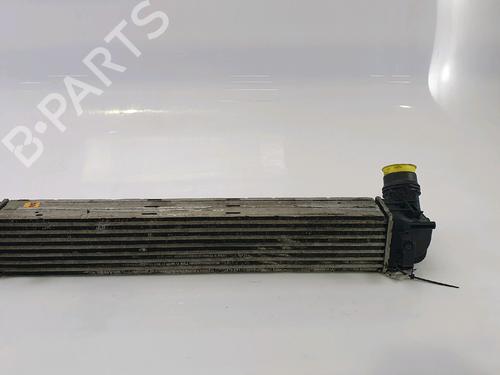 Intercooler RENAULT SCÉNIC III (JZ0/1_) 1.9 dCi (JZ0J, JZ1J, JZ1K, JZ1S) | BP28121872M30 
