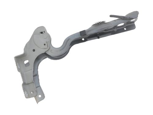 hingedoor-check-strap-citroen-c4-ii-nc_-2009-34205316 main image