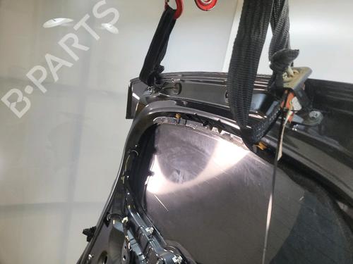 Tailgate RENAULT SCÉNIC III (JZ0/1_) 1.5 dCi | BP29874870C6