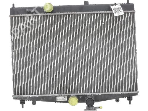 Used Water radiator Water radiator NISSAN JUKE (F15) 1.6 (117 hp) 33925672 33925672