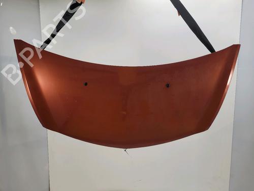 Used Hood RENAULT CLIO III (BR0/1, CR0/1) [2005-2014]  28447654