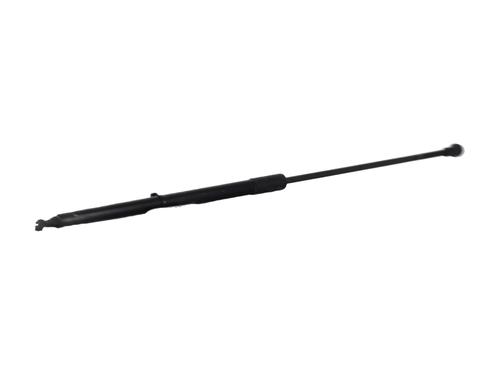 Hood lift support DACIA DUSTER (HS_) 1.5 dCi 4x4 | BP30165511C139