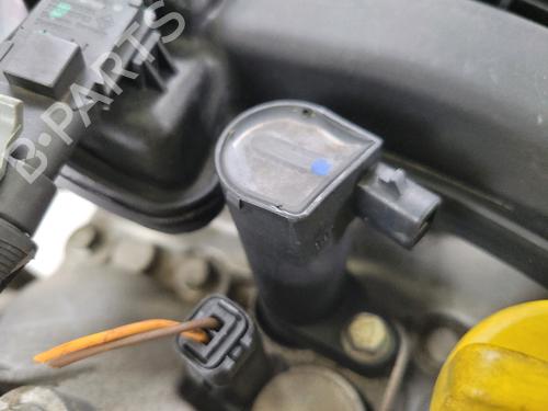 Motor RENAULT LAGUNA II (BG0/1_) 2.0 16V (BG00, BG0K, BG0P, BG0W) | BP30049306M1 